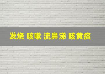 发烧 咳嗽 流鼻涕 咳黄痰